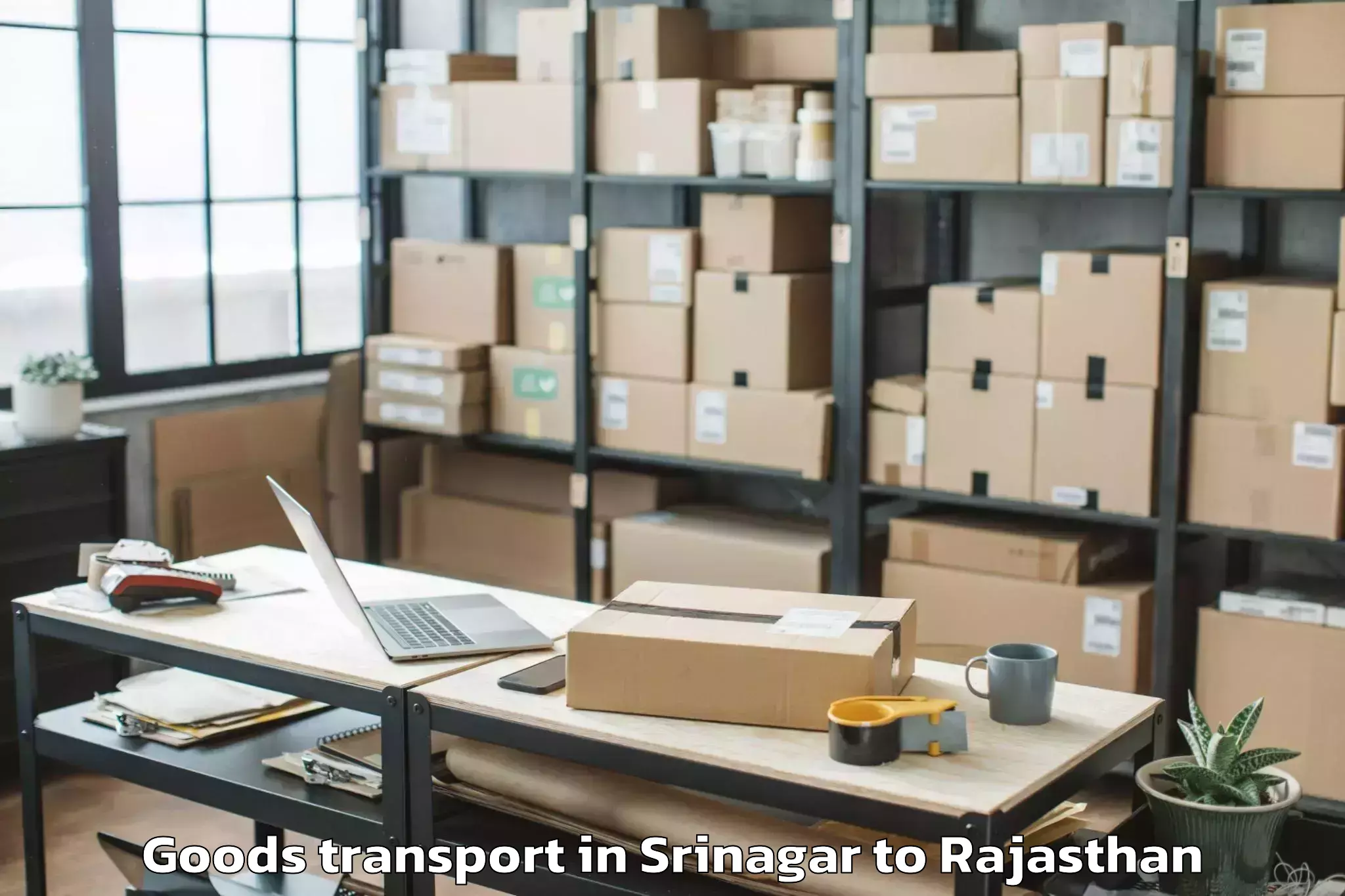 Easy Srinagar to Central University Of Rajastha Goods Transport Booking